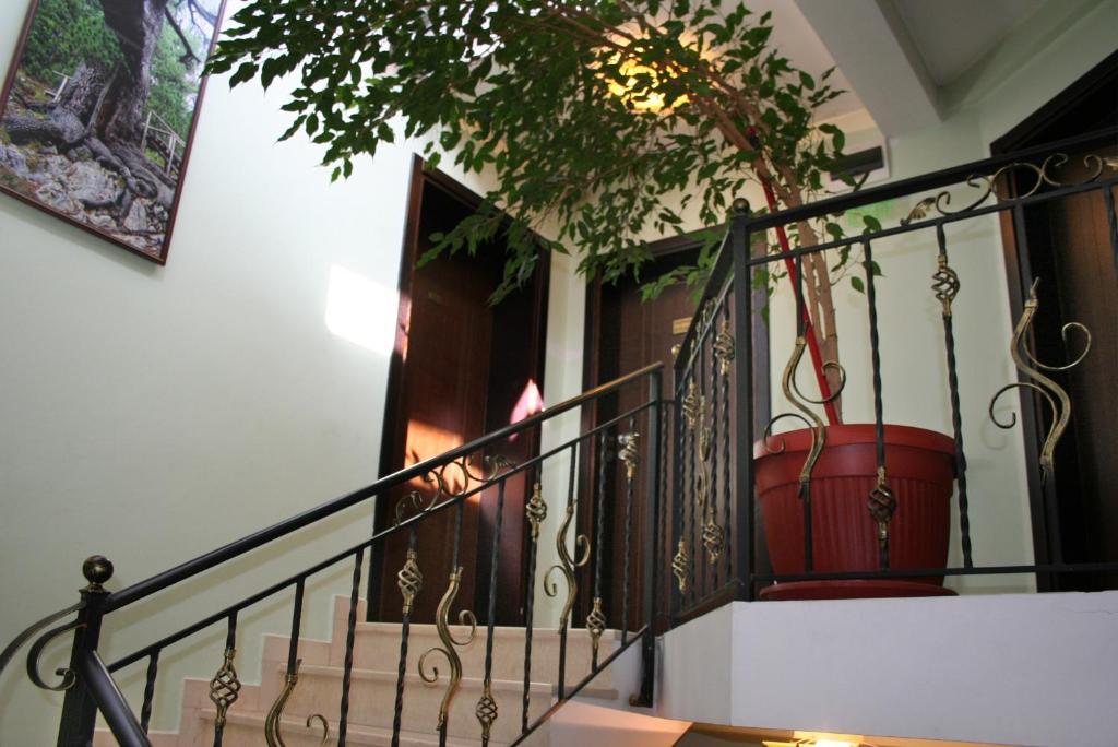 Family Hotel Zora Ράζλογκ Εξωτερικό φωτογραφία