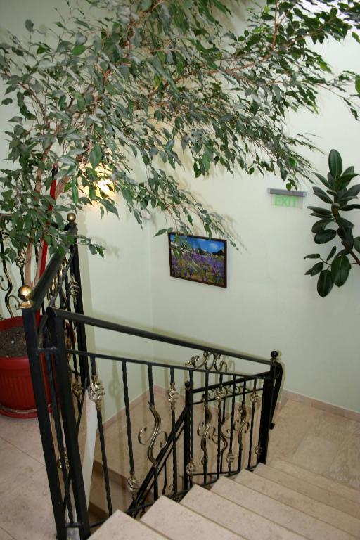 Family Hotel Zora Ράζλογκ Εξωτερικό φωτογραφία